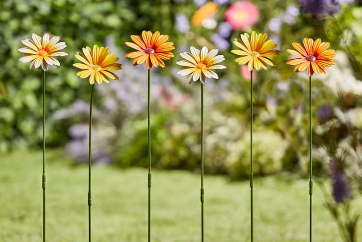 Metal-Daisy-Flower-6-Set-6