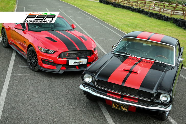 Mustangs Image 2