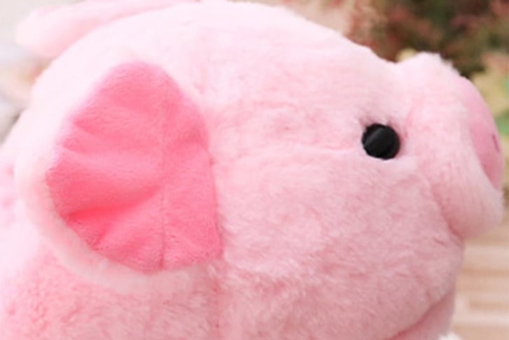 Piggy-Plush-Slippers-4