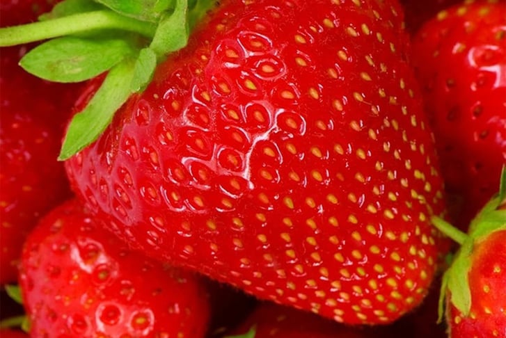 STRAWB-3