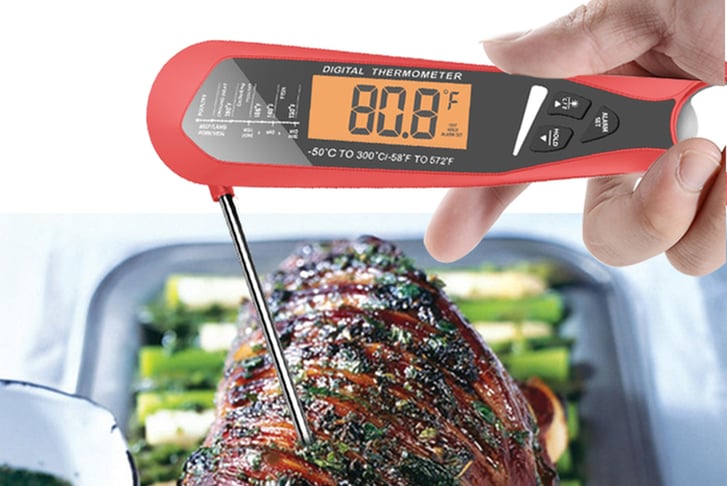 Thermometer-and-food-probe-1