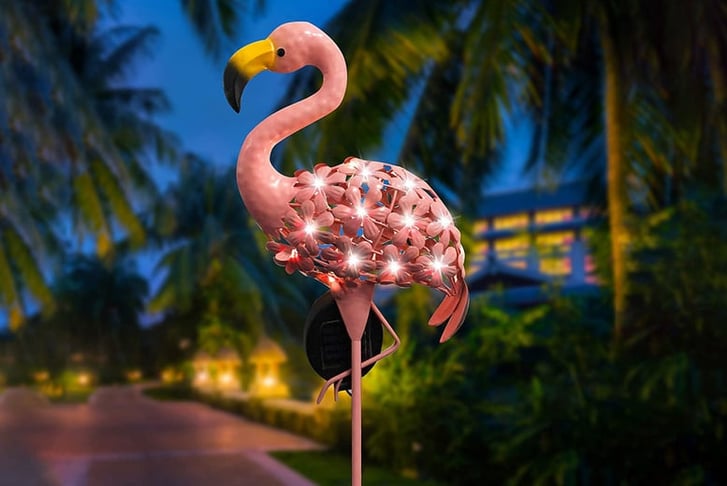 FLAMINGO-1