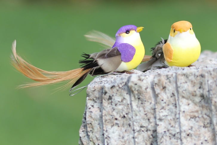 Bird-Feather-Tail-Figurine-Garden-4