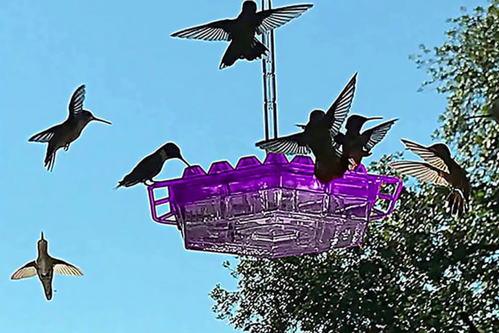 Hex-Hanging-Humming-Bird-Feeder-1