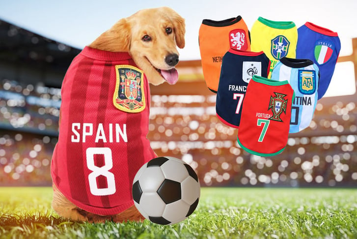 World-Cup-Pet-Dog-Clothes-1