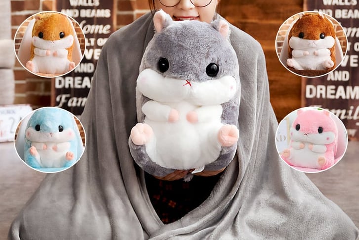 3-in-1-Cuddly-Hamster-Pillow-Blanket-1