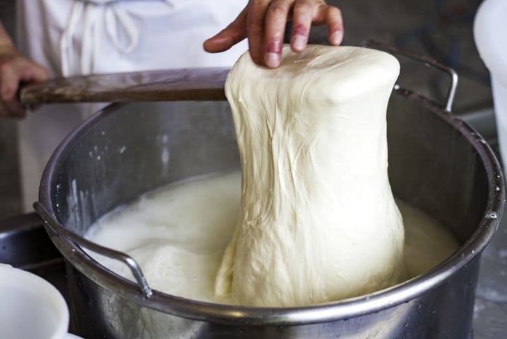 Artisan Cheese Making