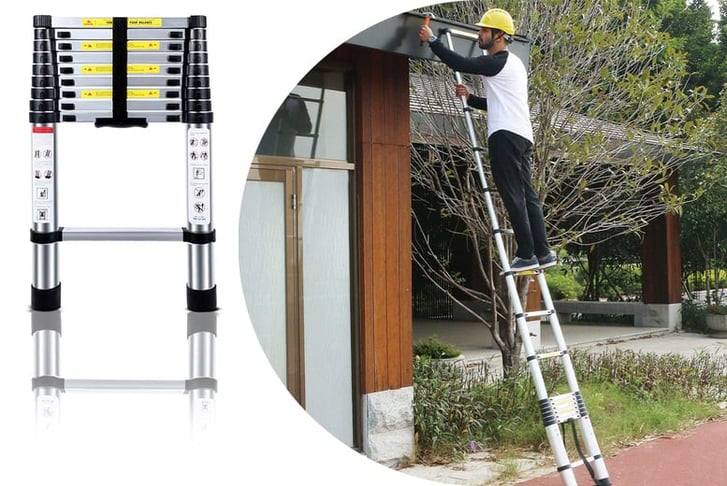 Telescopic-Ladder-1