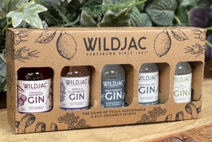 Miniature gin set 