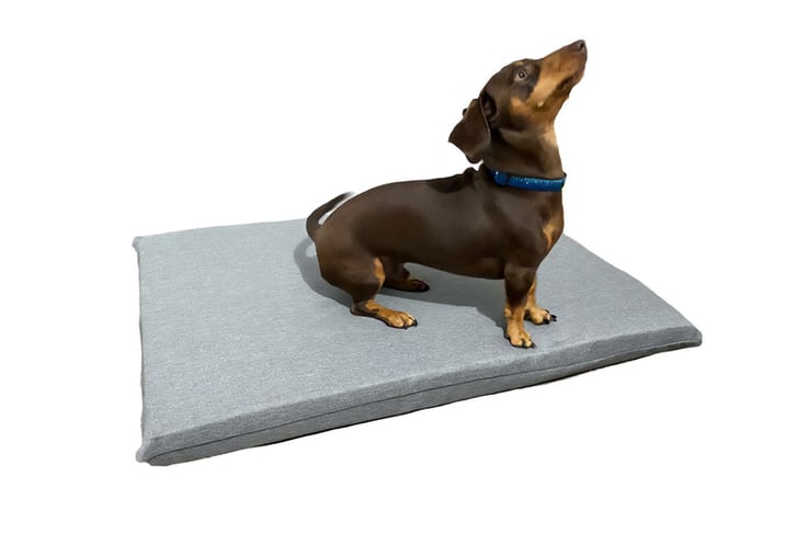 LUXURY-MEMORY-FOAM-ORTHOPAEDIC-DOG-BED-2