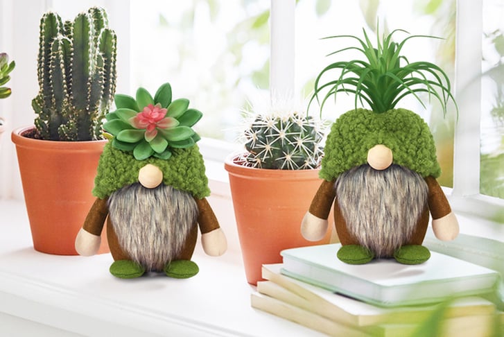 Succulent-Faux-Plant-Garden-Gnomes-1