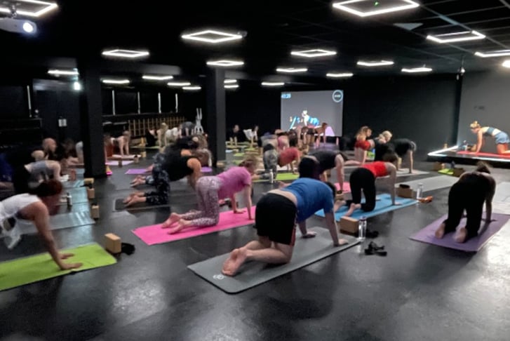 Yoga & Pilates: 4 Classes in 4 Weeks - Sheffield