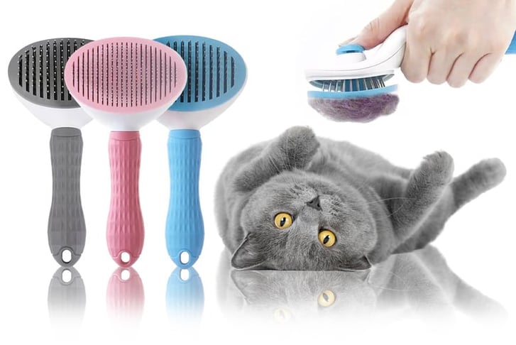 PET-HAIR-REMOVER-BRUSH-1