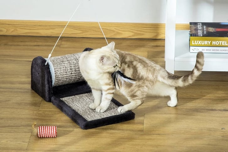 2-1-PawHut-Cat-Scratcher-Sisal-Pad-Mat-Board-1