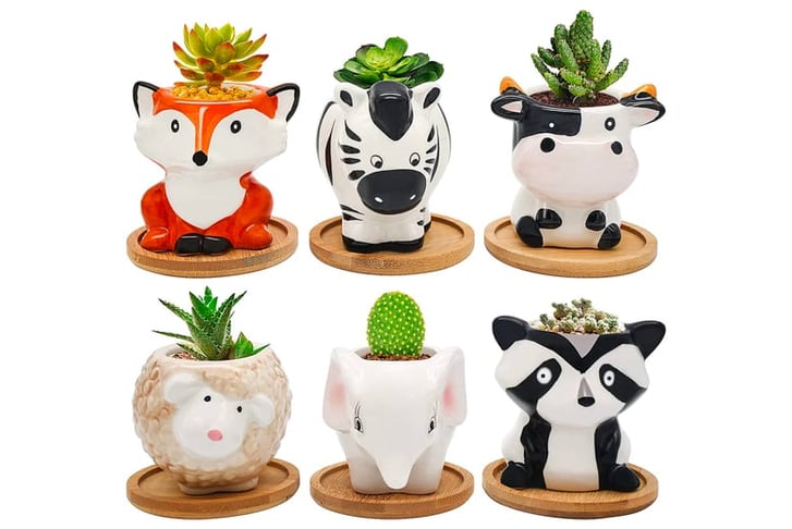 Mini-Animal-Shape-Cute-Succulent-Flower-Pot-2