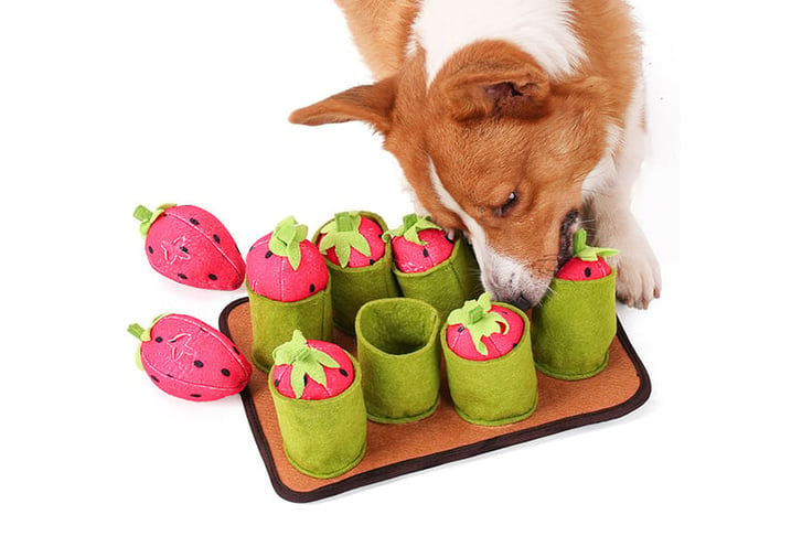 Training-IQ-Puzzle-Dog-Toy-Slow-Feeder-mushroom,-radish-and-strawberry-options-6