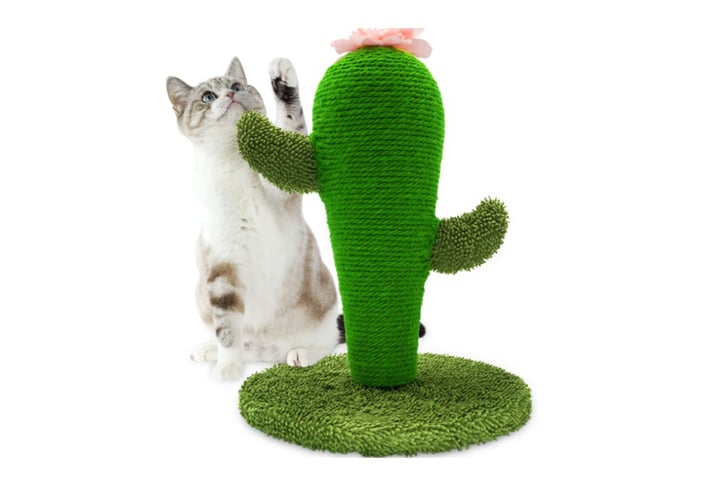 CAT-SCRATCHER-FOR-INDOOR-CATS-5