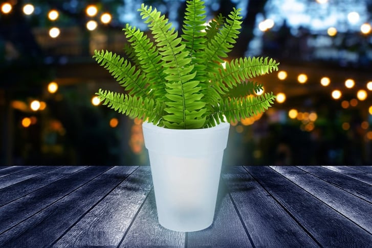 Solar-Powered-LED-Plant-Pots-LEAD