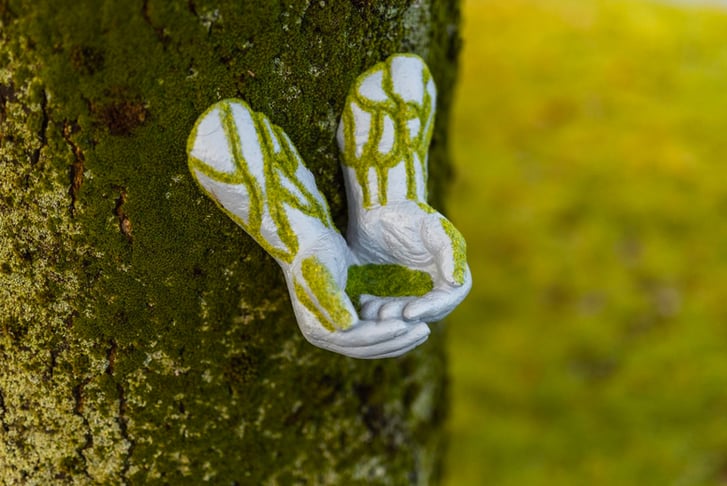 Giving-Open-Hands-Wall-Mounted-Bird-Feeder-1