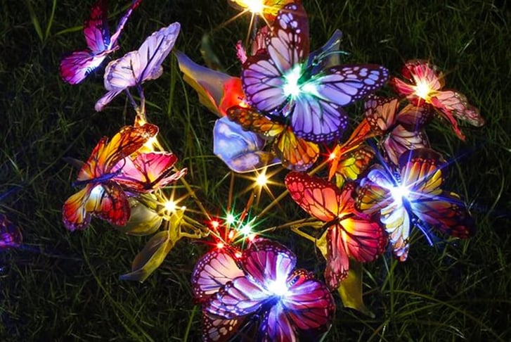 2pcs-Solar-Powered-Butterfly-LED-Garden-Lights-4