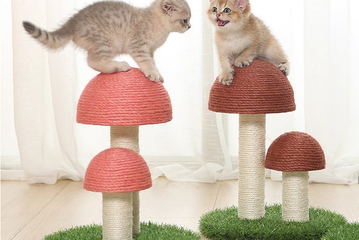 Cute-Mushrooms-Cat-Scratcher-8