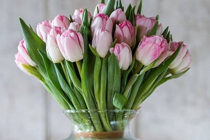  50% Discount Voucher for Tulips 