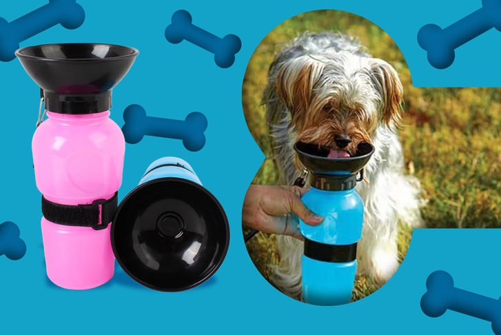 Anti-leaking-squeeze-bottle-for-pets---Blue-and-or-Pink-1