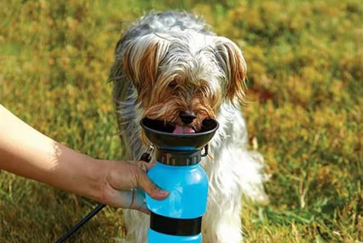 Anti-leaking-squeeze-bottle-for-pets---Blue-and-or-Pink-5