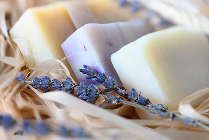 Lavender & Organic Soap Kit 