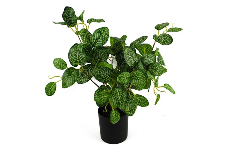 40cm-Artificial-Variegated-Pothos-Plant-2