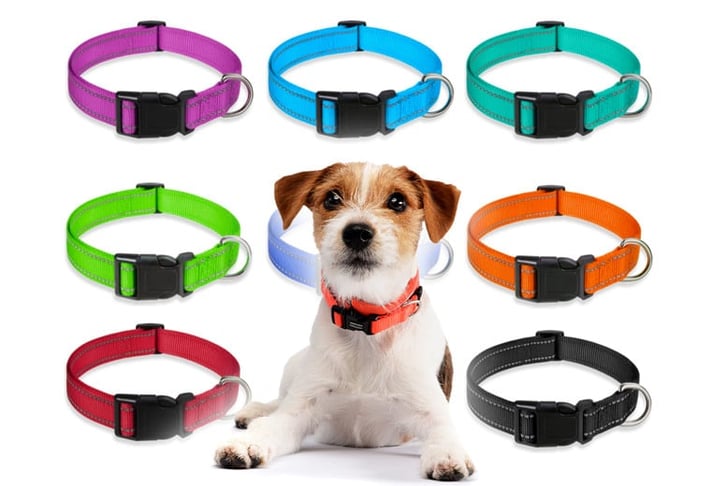 REFLECTIVE-ADJUSTABLE-PET-COLLAR-1