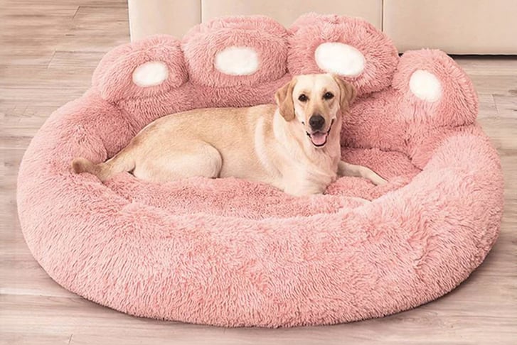 Fluffy-Paw-Shaped-Pet-Sofa-Bed-1