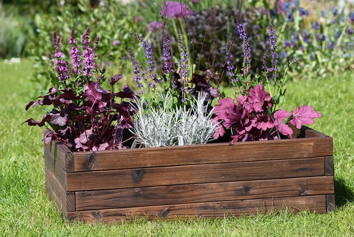 Wooden-Raised-Garden-Bed-1