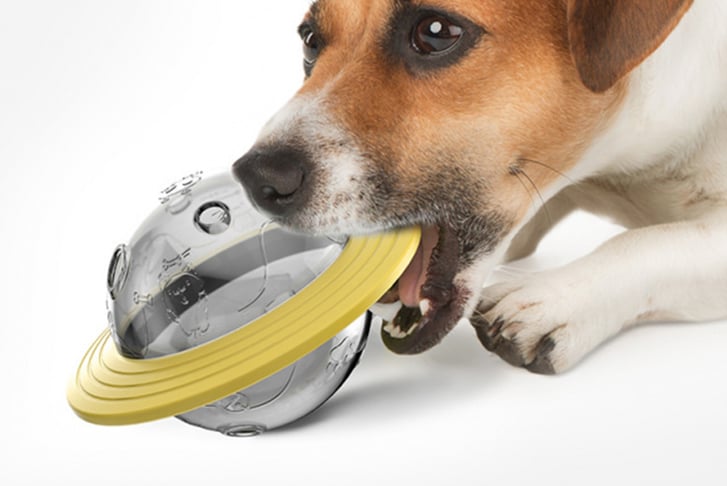 _Dog-Leaking-Dispenser-Flying-Sauce-Toys-4