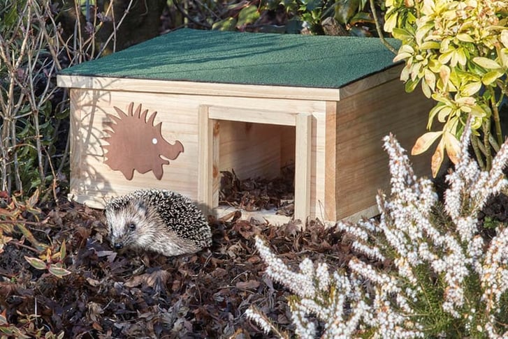 Garden-Gear-Hedgehog-House-1