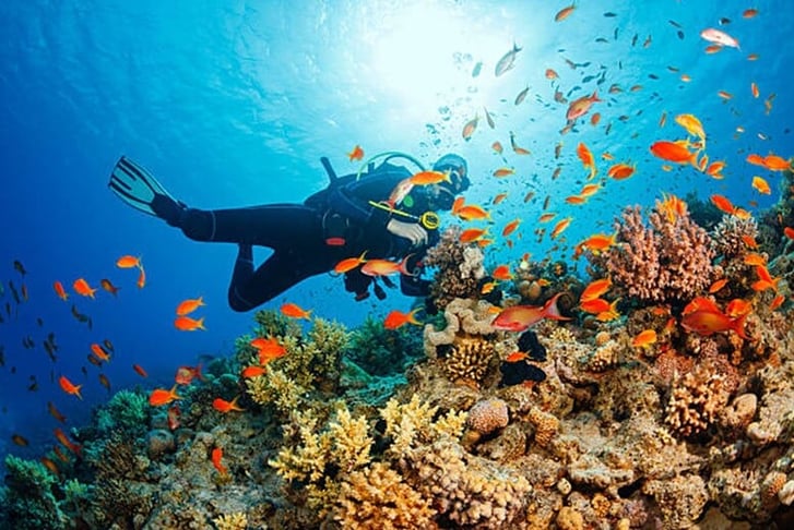 PADI Discover Scuba Diving Experience - For 1 or 2