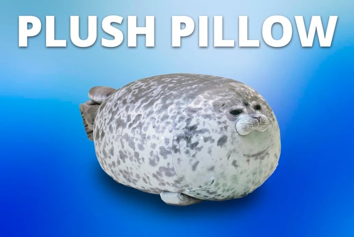 PLUSH-PLUSH