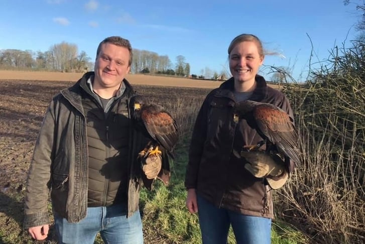 60 Minute Hawk Walk Experience for 2 - Shropshire