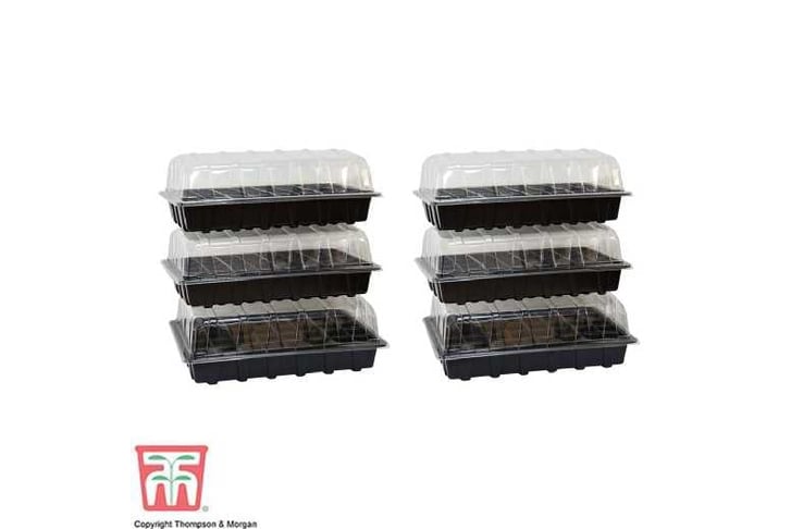 TRAY_40PRO1706885908132