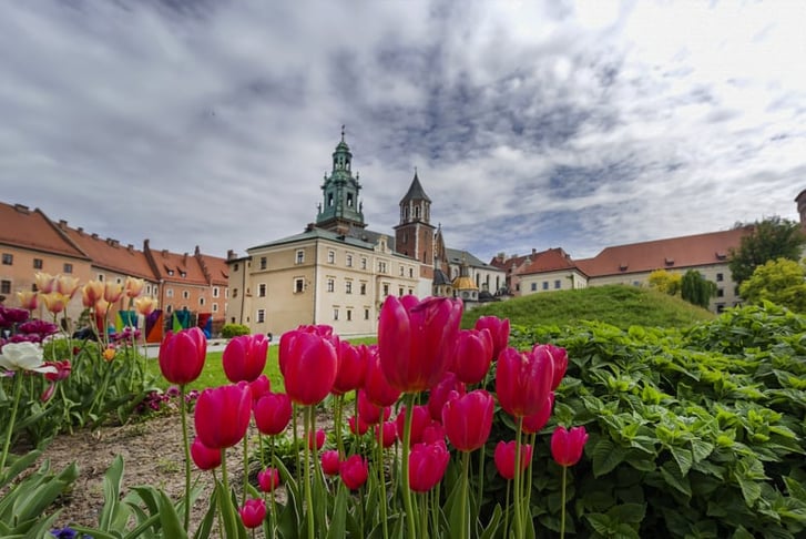 wawel castle in krakow