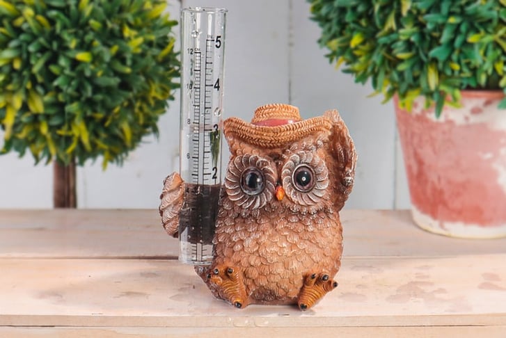 33068312-Rain-gauge-owl-ornament-3