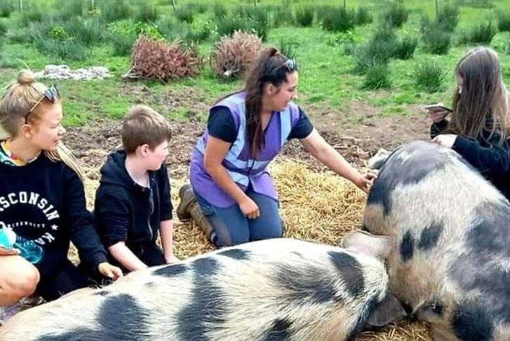 Private 'Meet The Animals' Guided Sanctuary Tour - Harmony Fields Soul Sanctuary