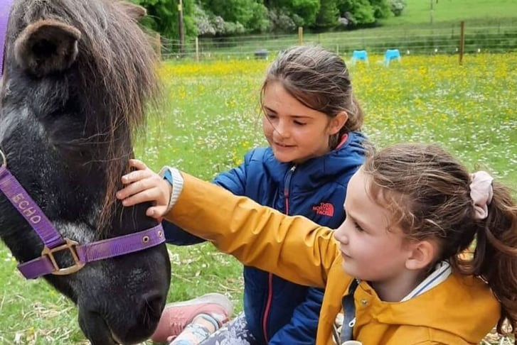 Private 'Meet The Animals' Guided Sanctuary Tour - Harmony Fields Soul Sanctuary