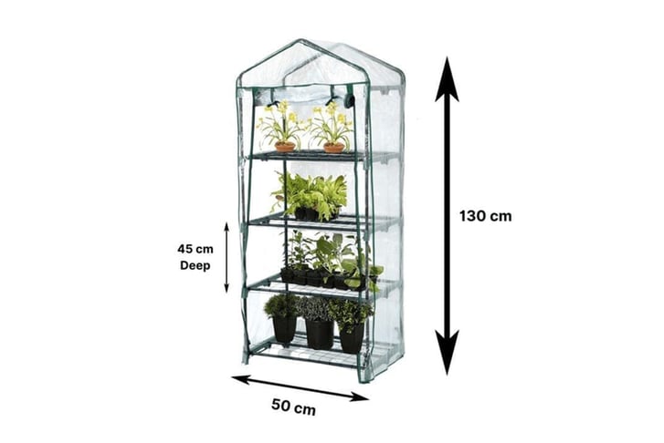 PREMIUM-4-TIER-CLEAR-PLANT-GREENHOUSE-3