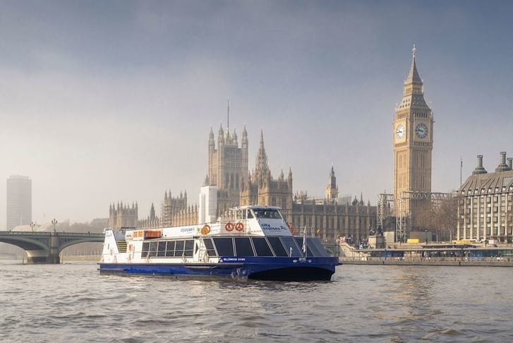 24 Hour Hop On Hop Off Thames River Sightseeing Tickets - Child or Adult!