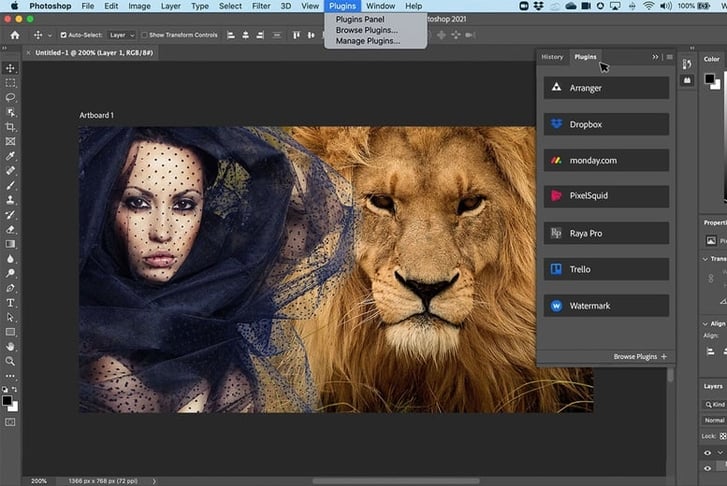 Adobe Photoshop 2021 2