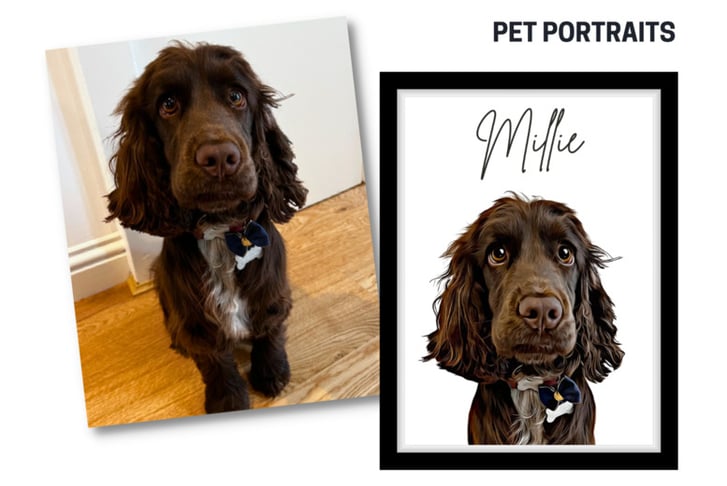 50% Off pet-portraits.co