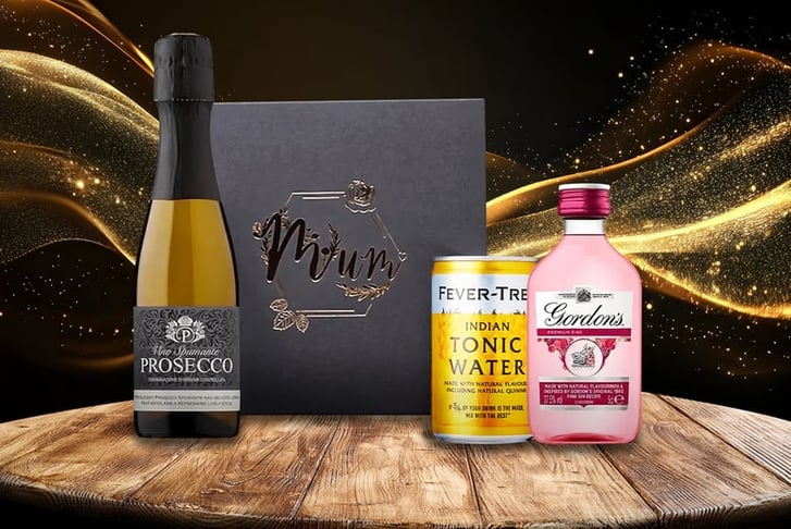  Prosecco & Gordon's Gin Gift Set 