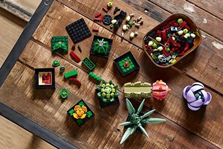 feed_opt_google_Succulent-Plant-Building-Brick-Blocks-6