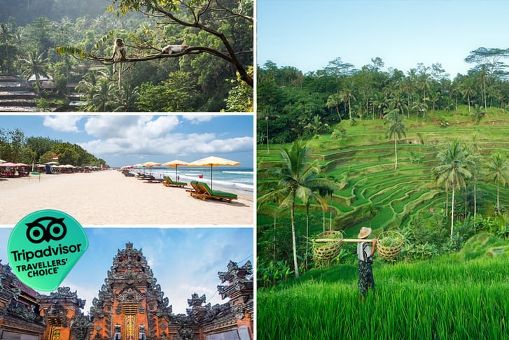 bali ta